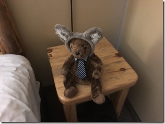 20190722_160008289_iOS